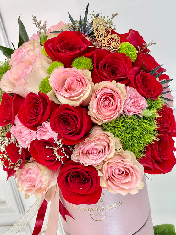 PINK AND RED
