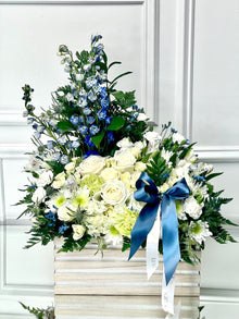  BLUE AND WHITE SYMPATHY